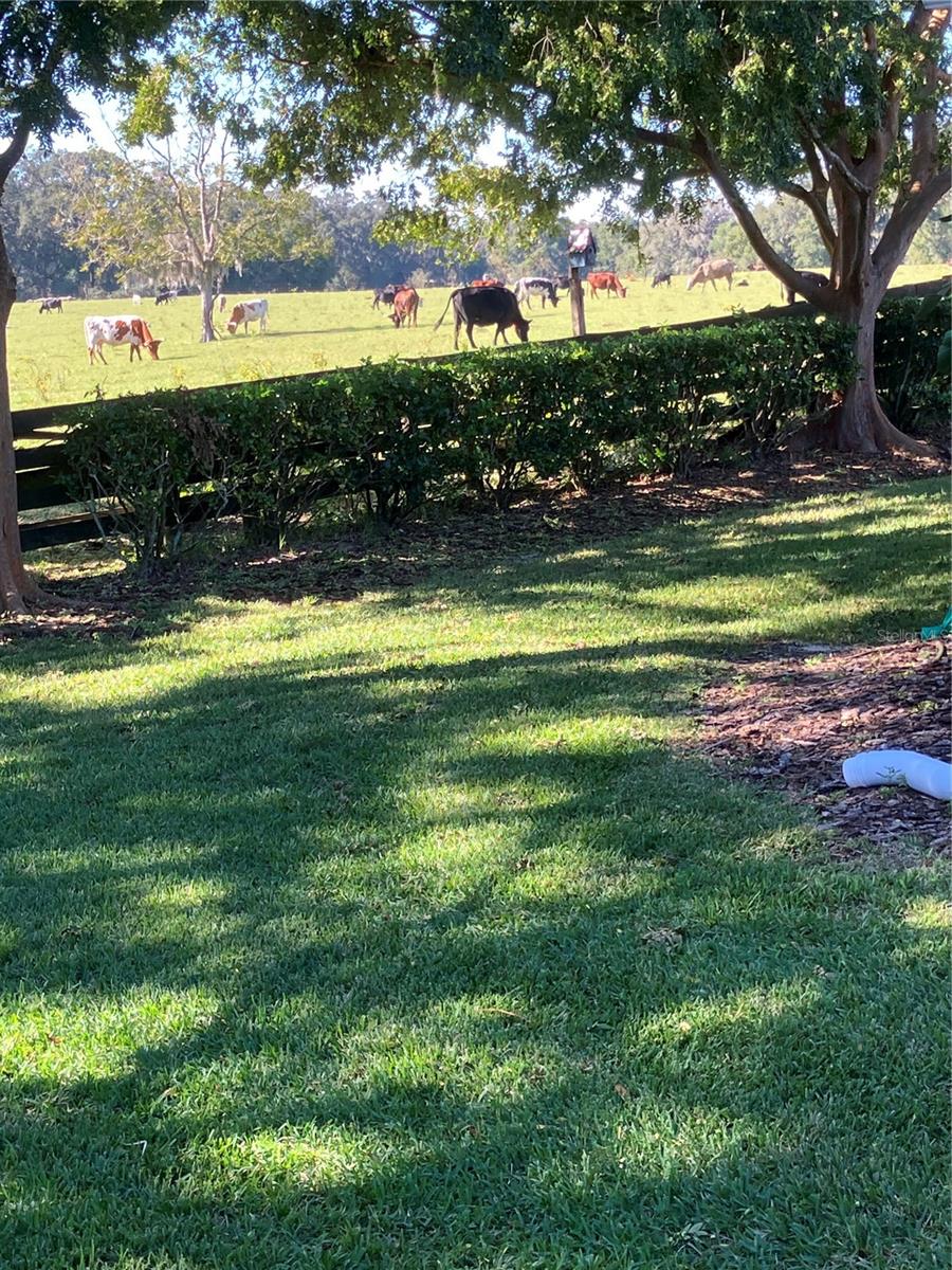 VILLAGES/MARION UN #61 - Residential