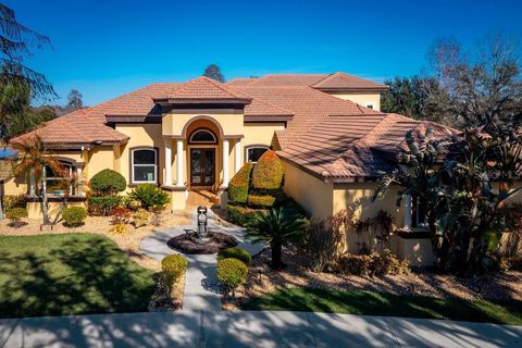 17933 PATTERSON ROAD ODESSA FL 33556