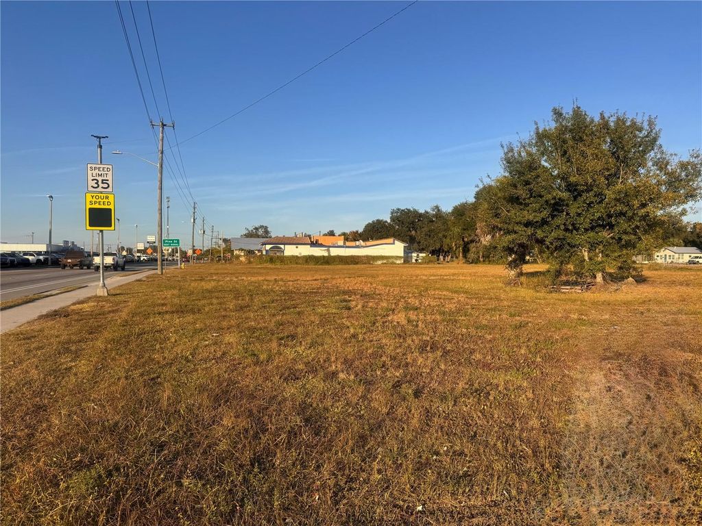 Photo of 245 S Brevard Avenue, Arcadia, FL 34266 (MLS # C7517968)