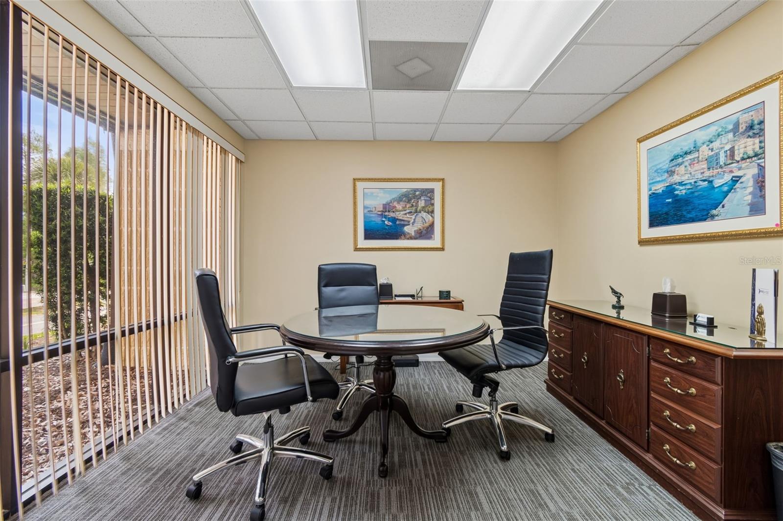 DRUHILL PROFESSIONAL CENTER - Commercial Sale