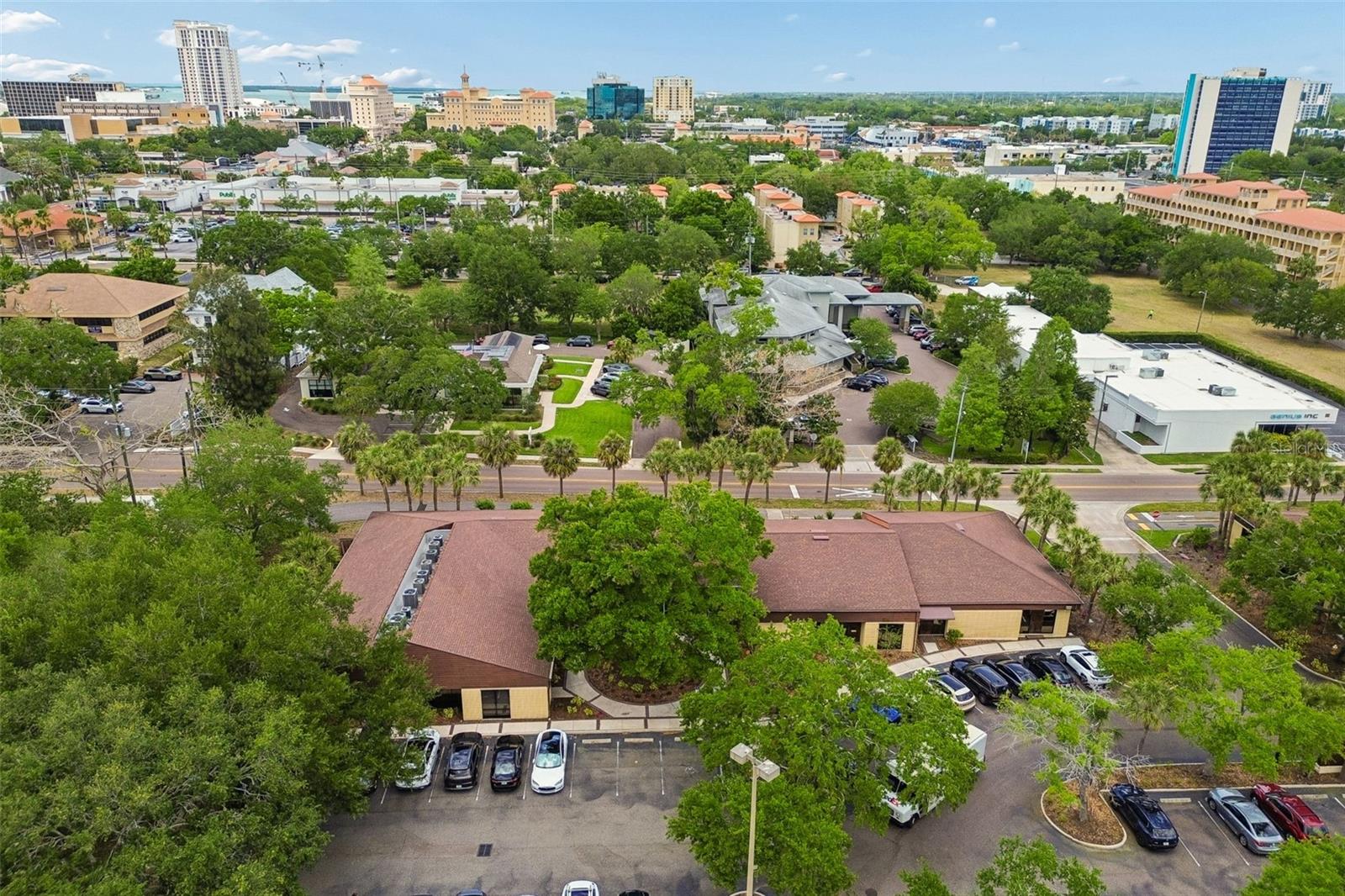 DRUHILL PROFESSIONAL CENTER - Commercial Sale