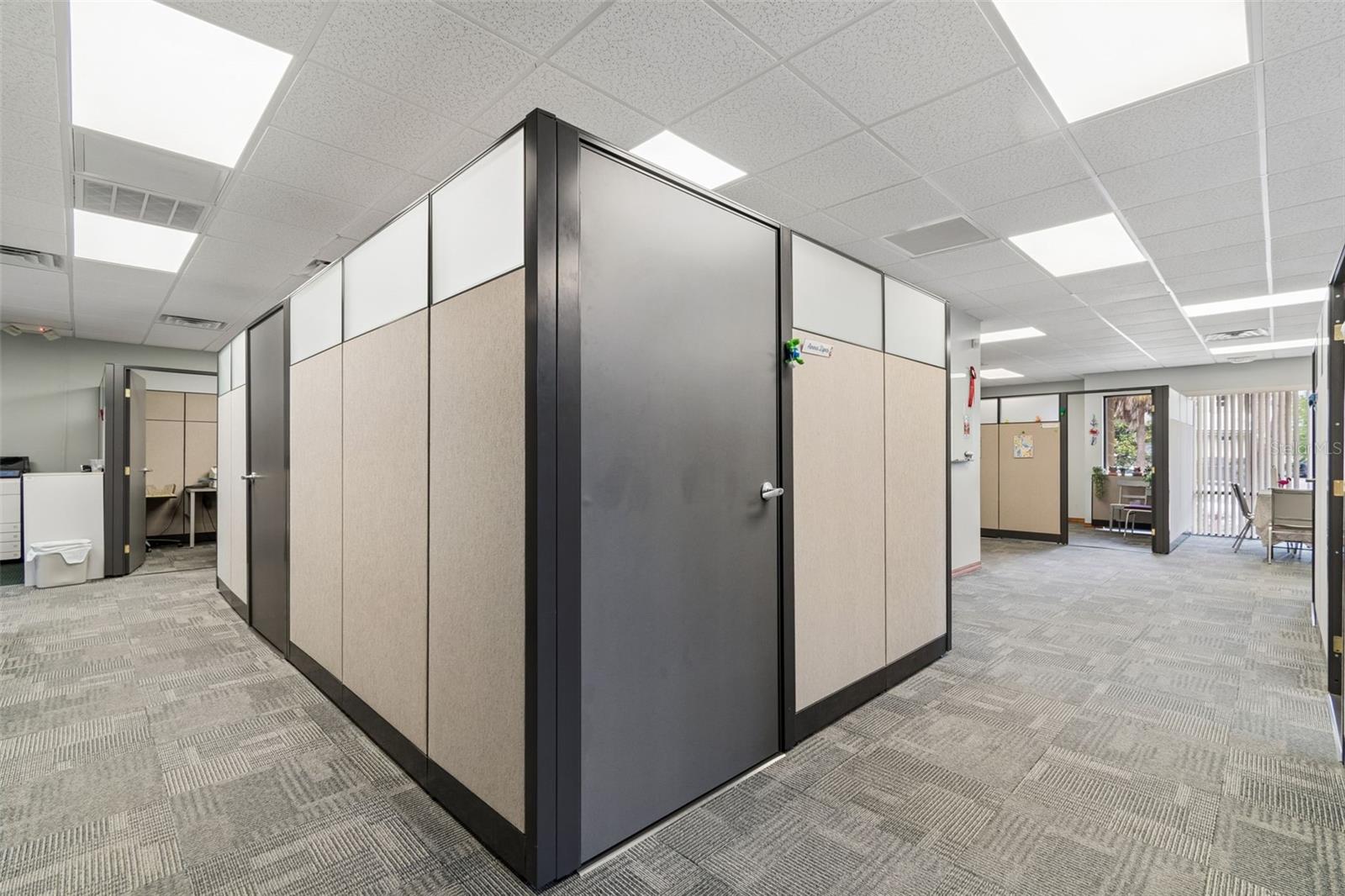 DRUHILL PROFESSIONAL CENTER - Commercial Sale