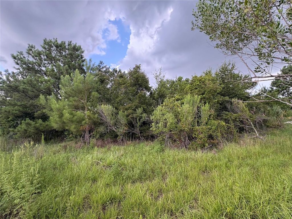 Photo of Evening Star #00, Brooksville, FL 34604 (MLS # TB8529863)