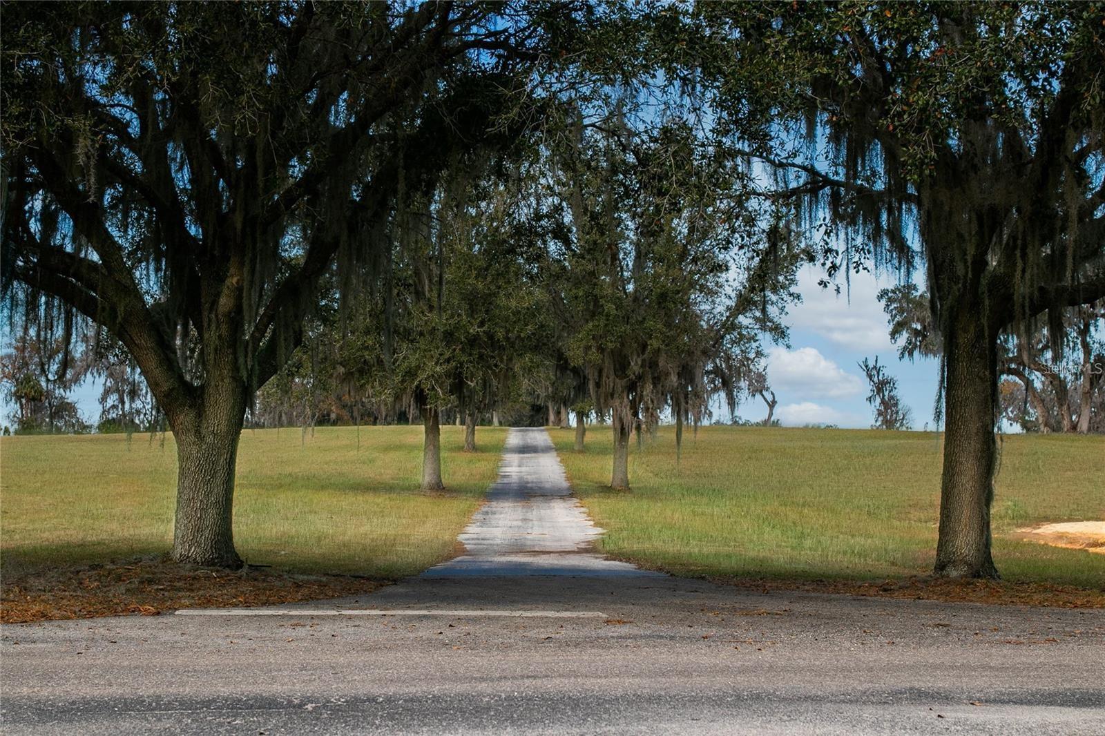 Discover the unparalleled opportunity to build your dream home or horse farm in Silverleaf Hills, a newly-established, pristine, gated equestrian community. One of the most high elevations on this 12 acres of beautiful land with a 100 x 200 riding arena already in place. Spanning over 765 acres of rolling hills and spring-fed lakes, this majestic community offers a serene and functional environment for horse lovers. With Gated Access & Paved Streets: Underground Utilities & Deed Restrictions: Ensuring a harmonious blend of beauty and convenience. Bridle Trails & Deeded Access: Enjoy tranquil horse rides with dedicated bridle path easements throughout the community. Majestic Granddaddy Oaks: Immerse yourself in nature's embrace with these stunning trees sprinkled across the landscape. Prime Location: Approximately 30 Minutes to World Equestrian Center, 10 Minutes to Florida Horse Park, Adjacent to The Villages, for dinning and shopping! Silverleaf Hills allows for the construction of barns prior to residences, reflecting its equestrian-centric vision. The community is witnessing the rise of elegant custom homes, each echoing luxury and style, with several currently under construction. This extraordinary property is more than just a piece of land; it's a gateway to a refined equestrian lifestyle. Seize the opportunity to craft a legacy of equestrian excellence at Silverleaf Hills, where your vision of a perfect equestrian home can come to life amidst a community that shares your passion and sophistication. Accessible Entrances from US 301 and Hwy 42.
