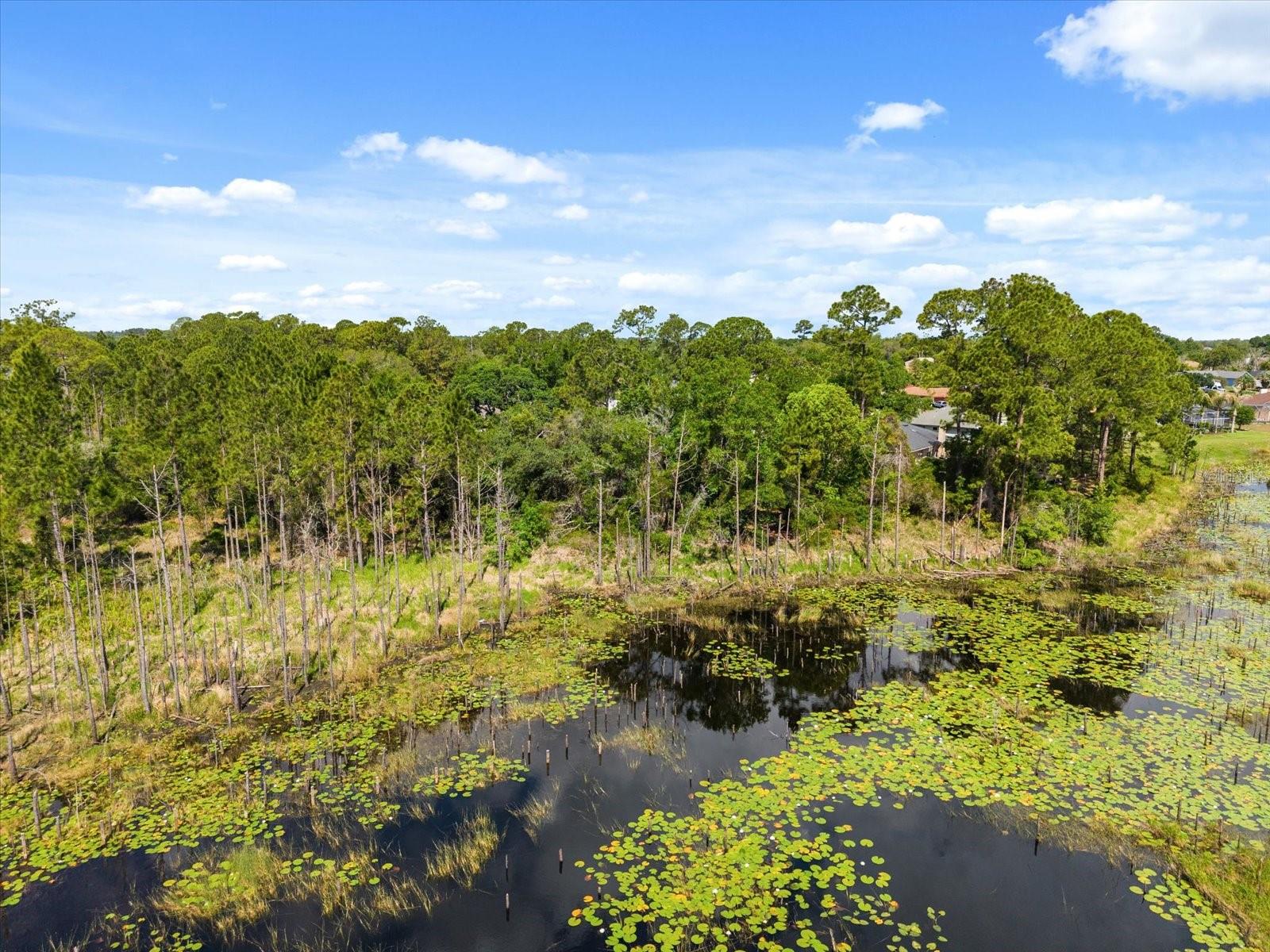 DELTONA LAKES UNIT 40 - Land