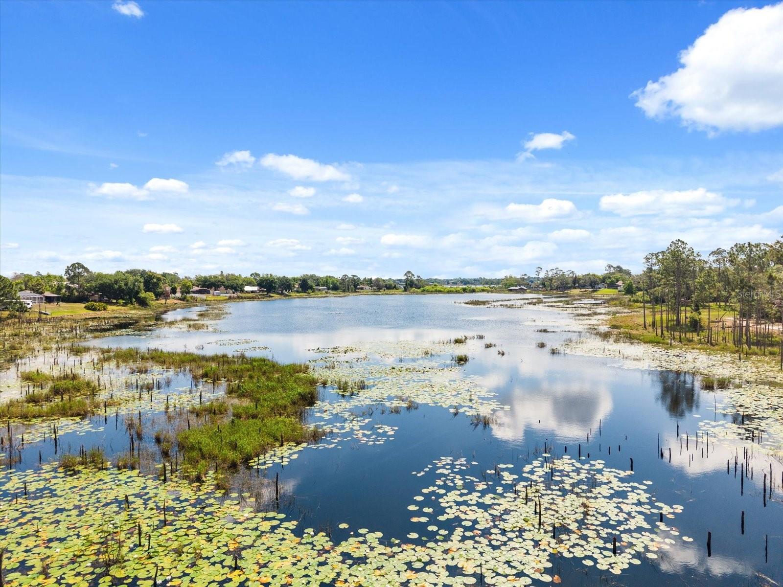 DELTONA LAKES UNIT 40 - Land