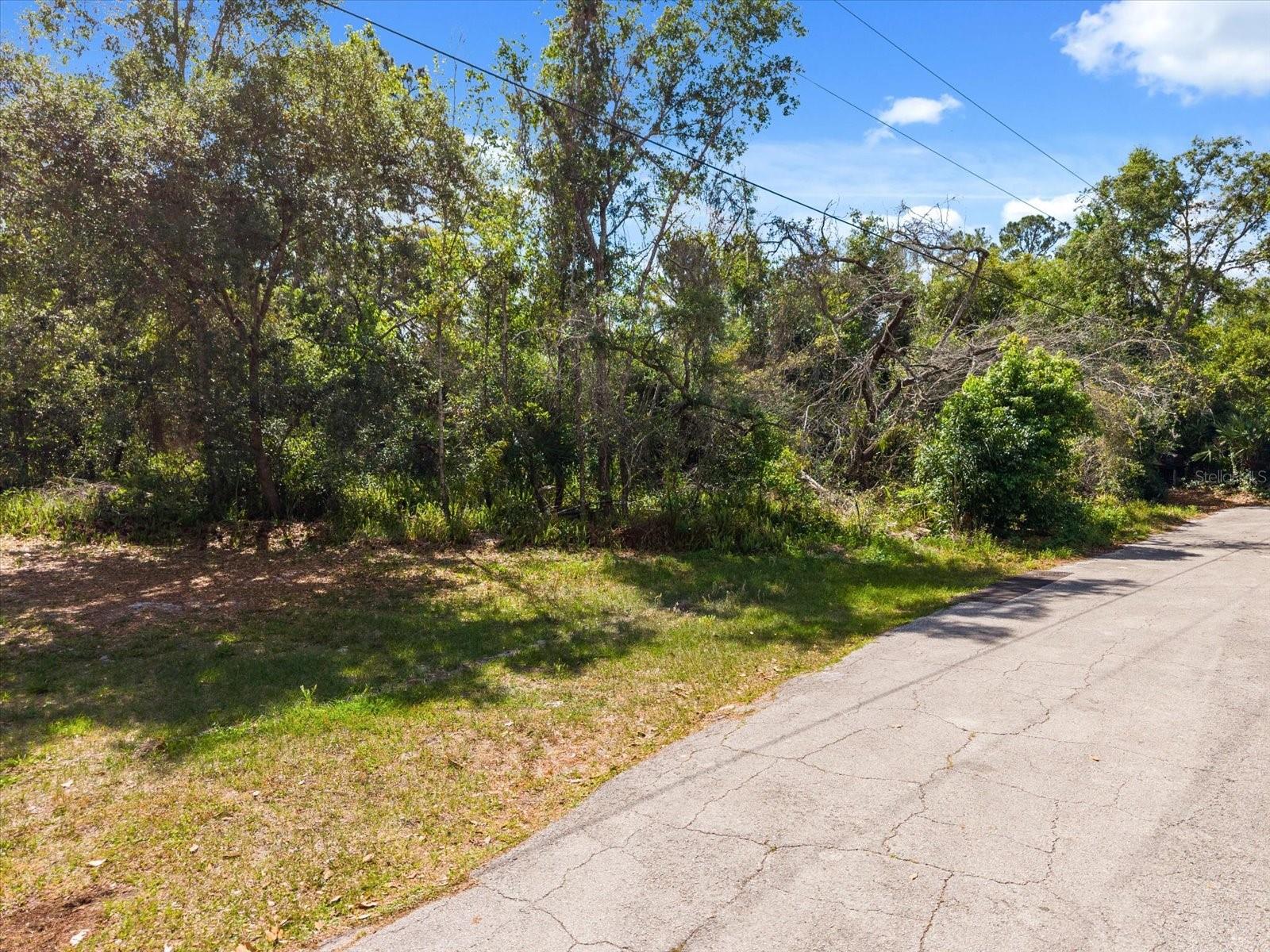 DELTONA LAKES UNIT 40 - Land