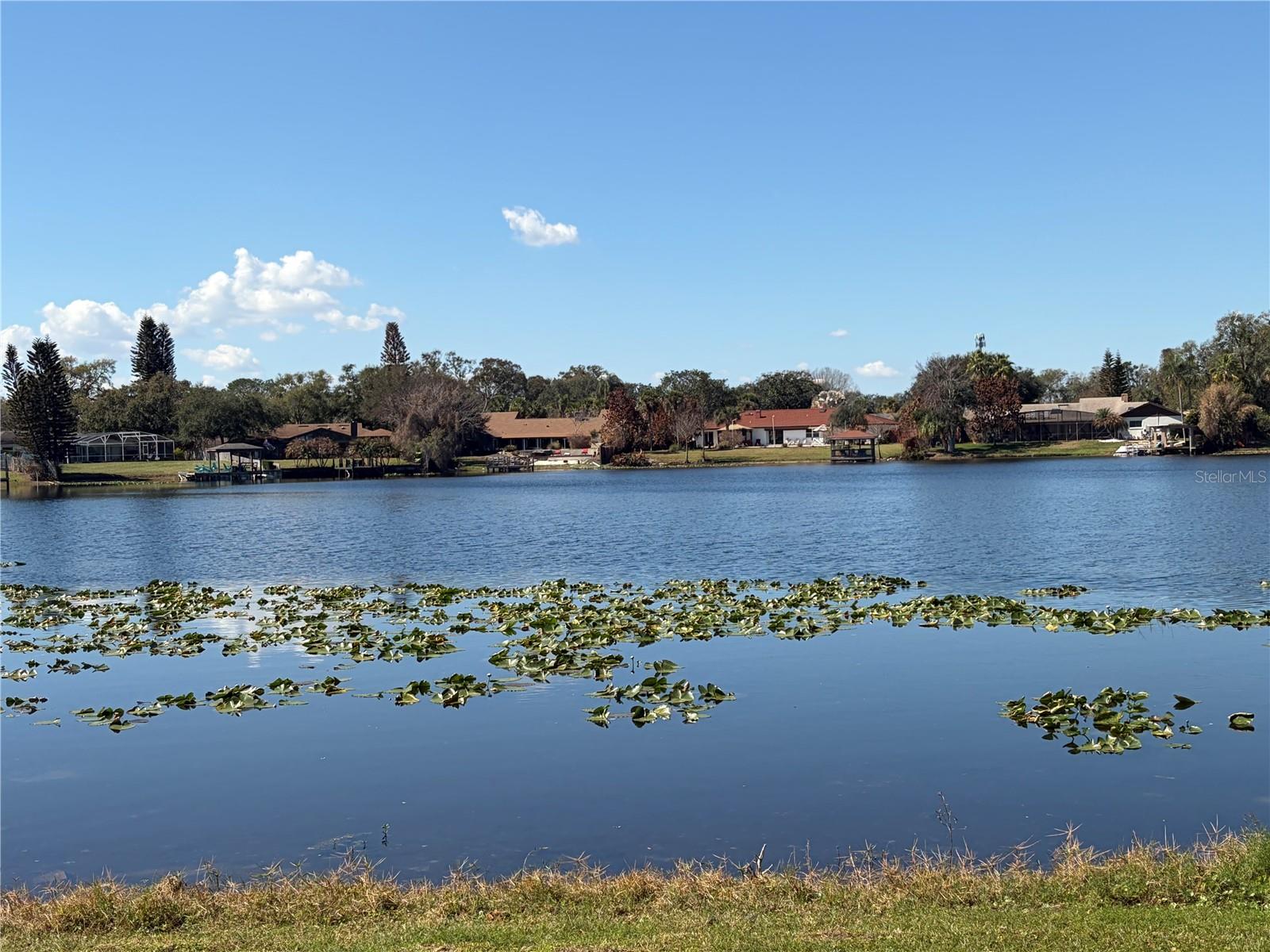 DESTINY SPGS CONDO - Residential