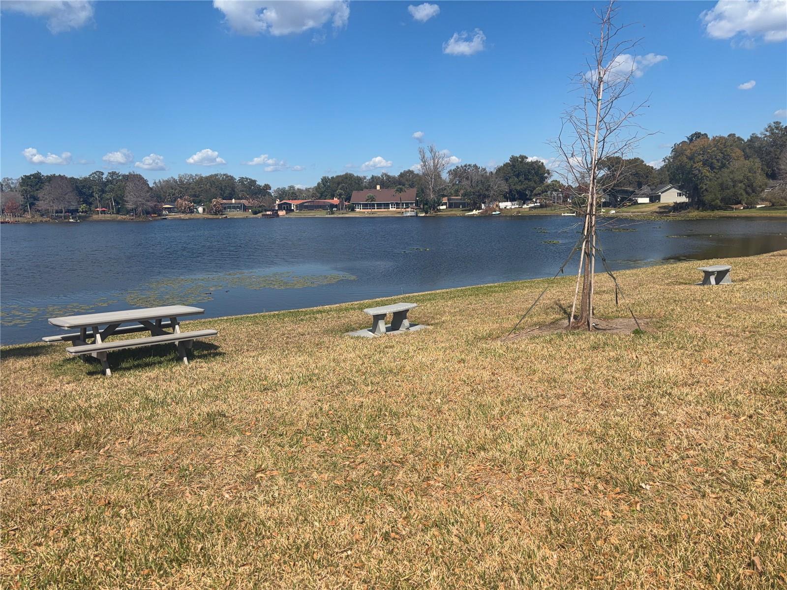 DESTINY SPGS CONDO - Residential