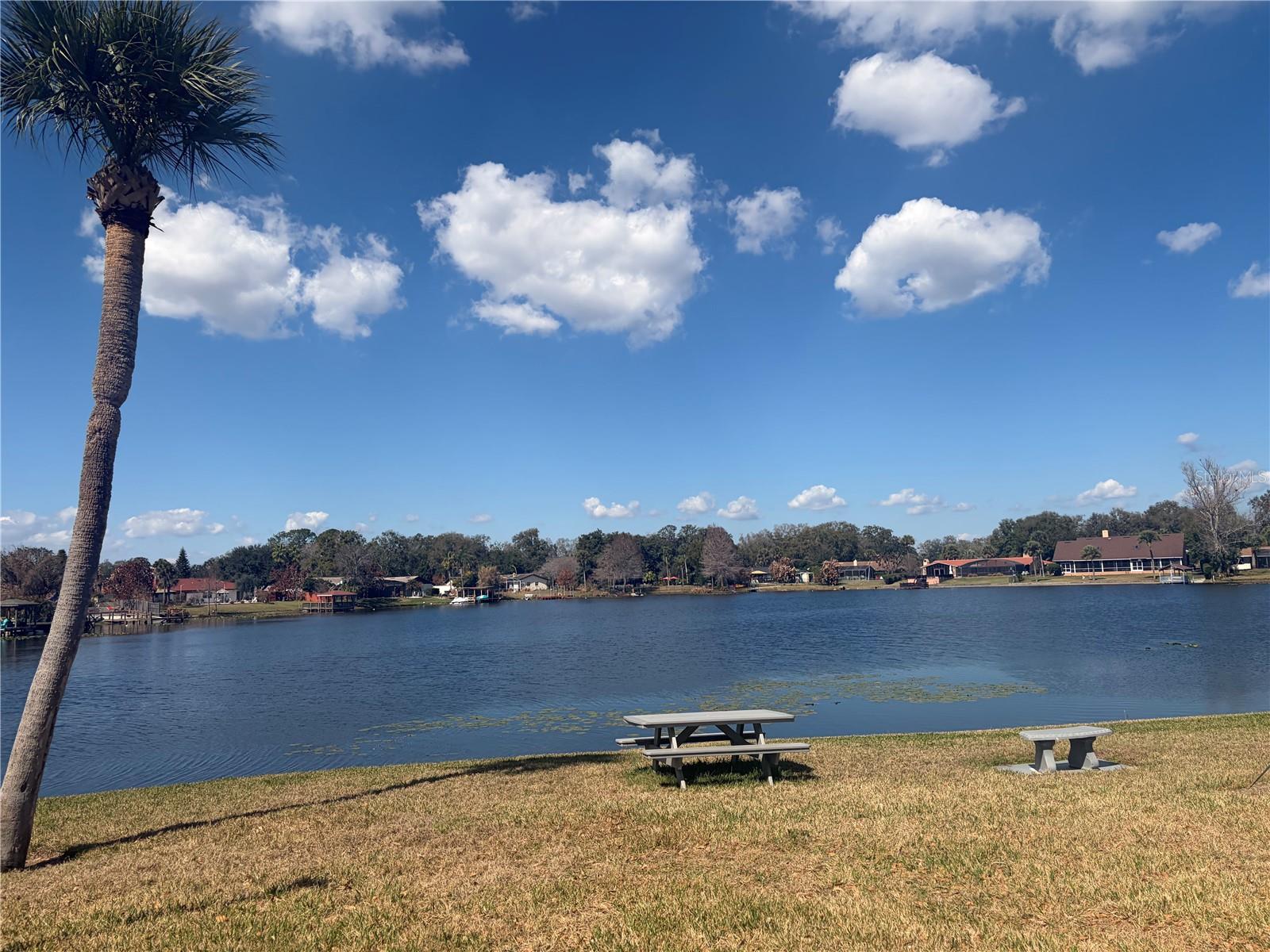 DESTINY SPGS CONDO - Residential