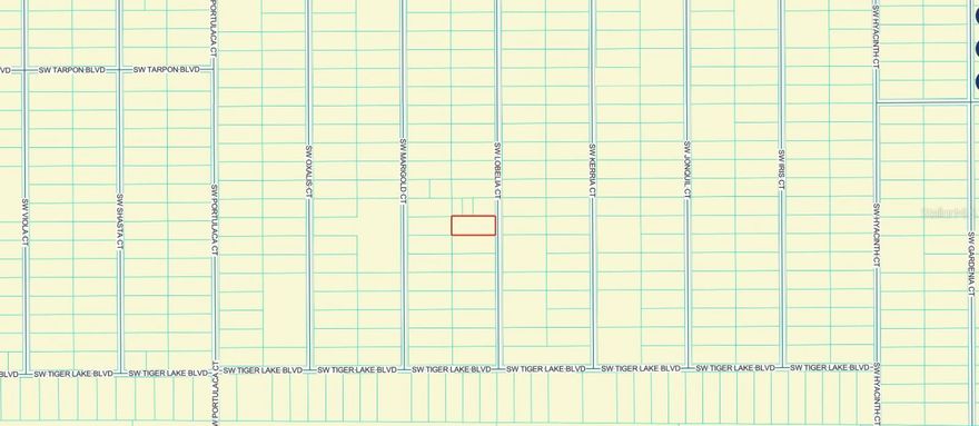 EXCELLENT OPPORTUNITY FOR INVESTORS OR FUTURE HOMEOWNERS TO OWN IN THE GROWING COMMUNITY OF RAINBOW LAKES ESTATES IN DUNNELLON. THIS BEAUTIFULLY SITUATED LOT OFFERS APPROXIMATELY 0.99 ACRES (135 X 319), PROVIDING PLENTY OF SPACE TO BUILD YOUR DREAM HOME OR BRING  A MOBILE HOME
ZONED R1,. WELL AND SEPTIC WILL BE REQUIRED, 
CONVENIENTLY LOCATED JUST A SHORT DRIVE FROM RAINBOW SPRINGS, OCALA, AND OTHER LOCAL ATTRACTIONS, DON’T MISS THIS GREAT OPPORTUNITY TO INVEST. ALL MEASUREMENTS ARE APPROXIMATE AND NOT GUARANTEED. BUYERS AND BUYER’S AGENTS ARE RESPONSIBLE FOR VERIFYING ALL INFORMATION AND CONDUCTING THEIR OWN DUE DILIGENCE.