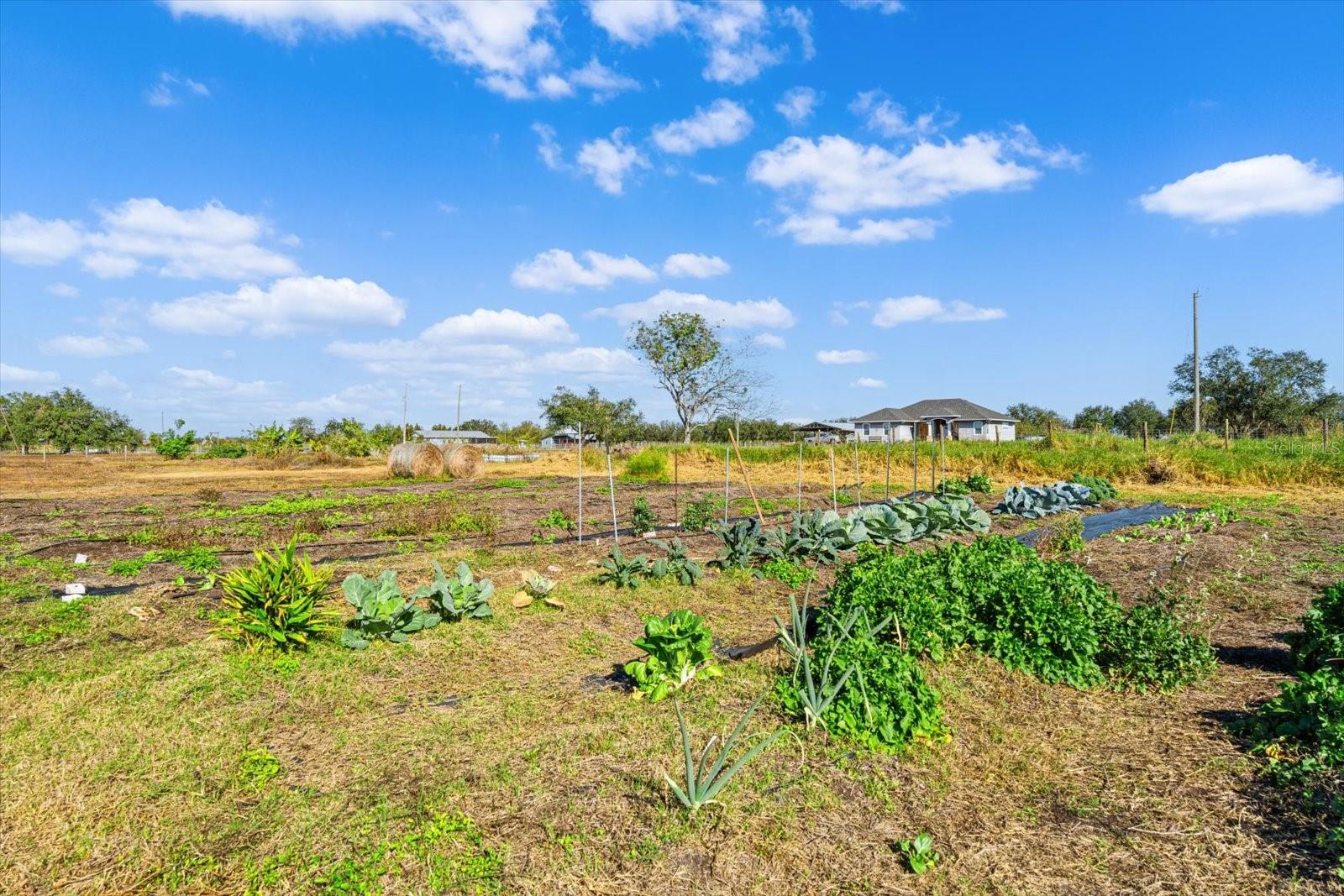 NO SUBDIVISION - Residential