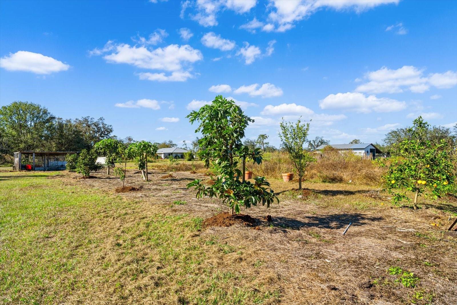 NO SUBDIVISION - Residential