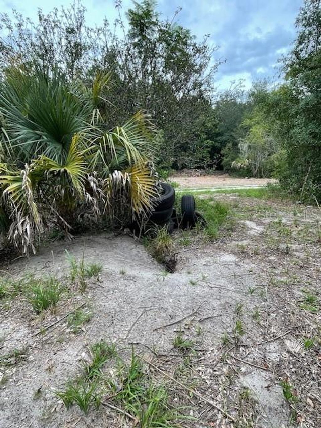 Photo of 2904 Cleburne Road, Orlando, FL 32817 (MLS # O6351330)