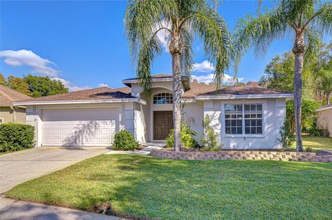 19414 MORDEN BLUSH DRIVE LUTZ FL 33558