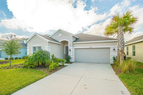 A home in WESLEY CHAPEL