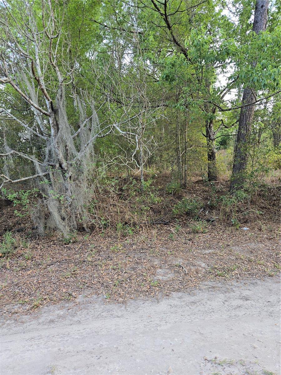 RAINBOW PARK UN 02 - Land