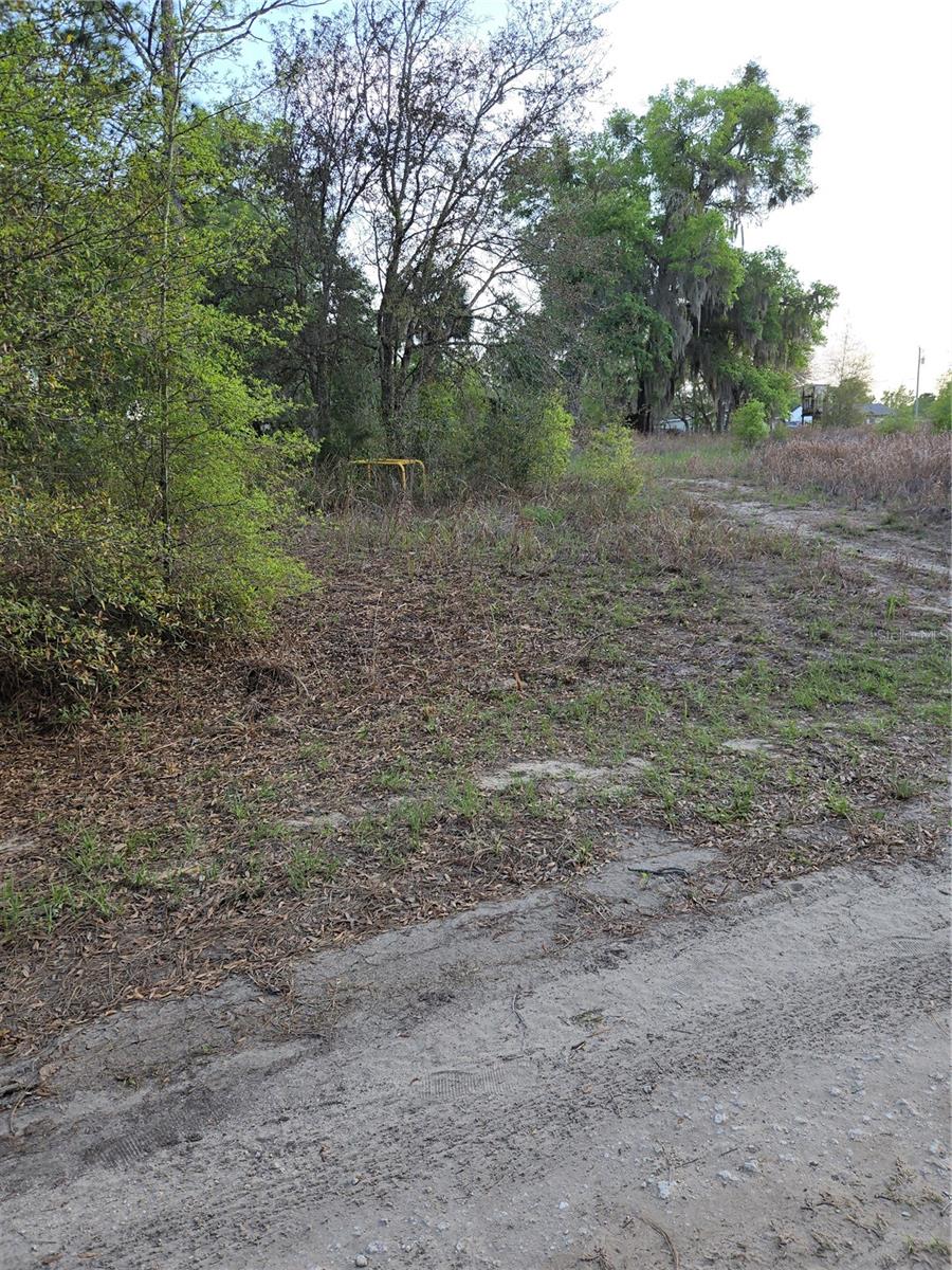 RAINBOW PARK UN 02 - Land