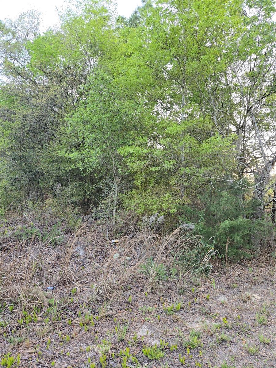 RAINBOW PARK UN 02 - Land