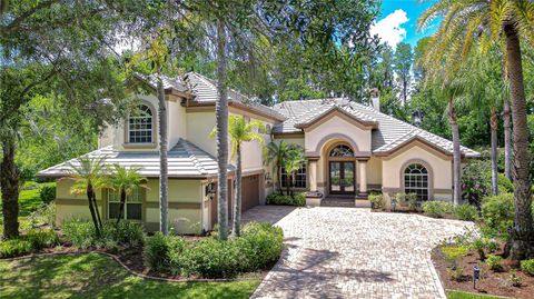 Photo of 20915 Lake Vienna Drive, Land O Lakes, FL 34638 (MLS # TB8502586)