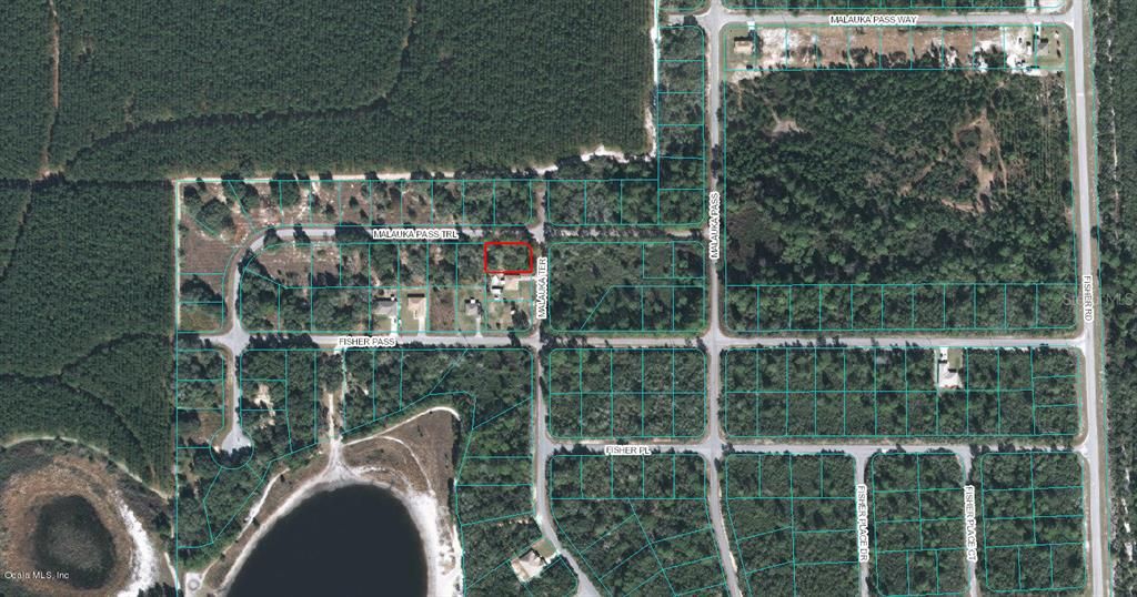 Photo of 00 Malauka Terrace, Ocklawaha, FL 32179 (MLS # OM523091)