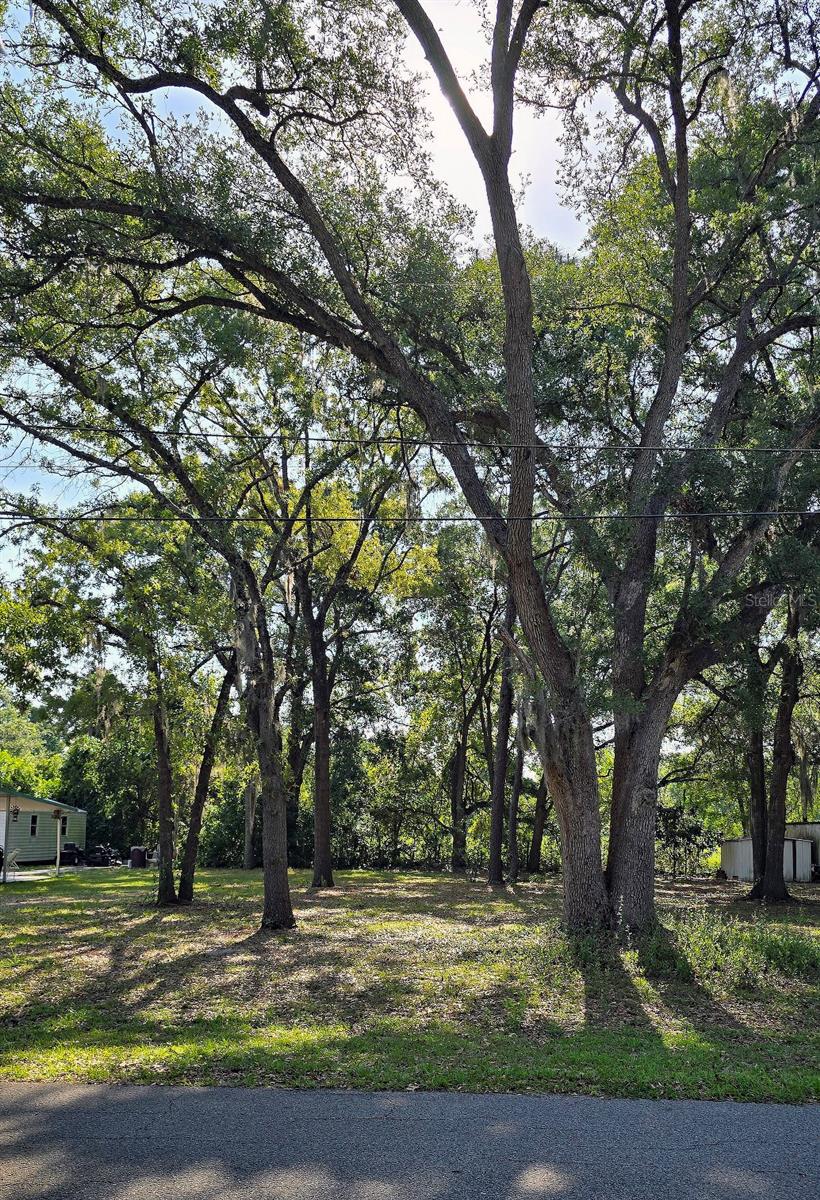 Lovely shaded lot. NO lot rent, No CDD, NO HOA and No rear Neighbors! Located minutes from Ocala and the World Equestrian Center, shopping, dining, and medical facilities and a short drive to The Villages with its free nightly entertainment at the squares. You're a quick trip to Florida’s major theme parks and only about an hour and a half from both the Atlantic and Gulf coasts. Also available for sale, vacant lot at 16075 SE 99th (MLS G5097410). Call today to schedule your private showing and Let’s make a deal!