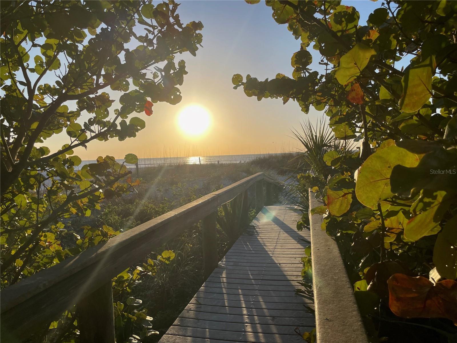 BELLE VISTA BEACH 5TH ADD - Residential