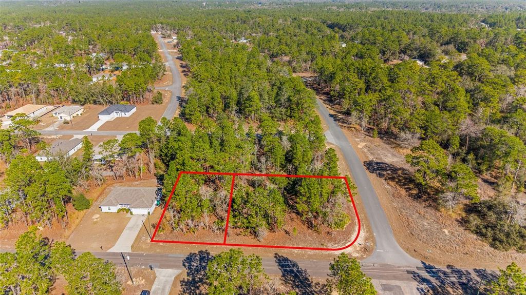 Photo of 6932 N Glenridge Circle, Citrus Springs, FL 34434 (MLS # W7882575)