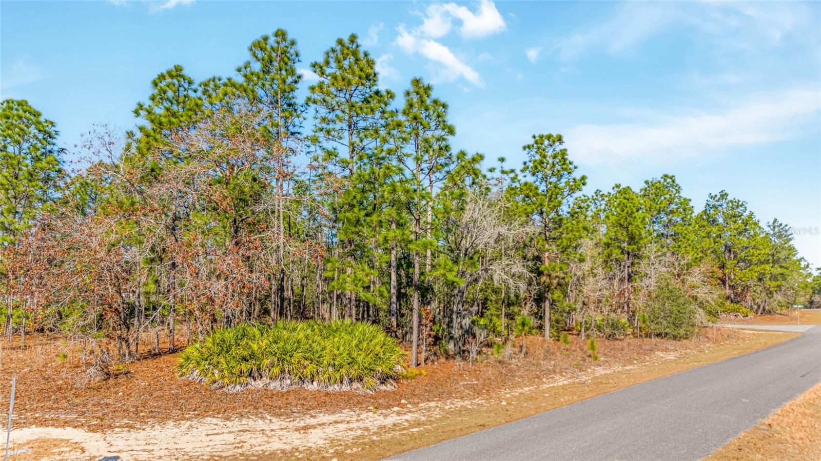 CITRUS SPGS UNIT 13 - Land