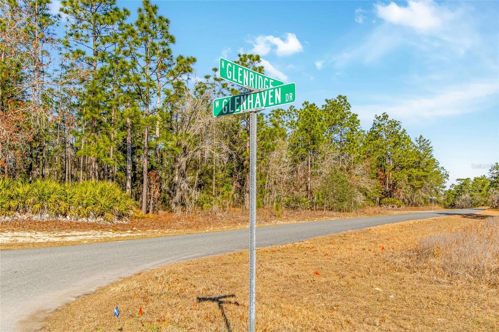 Photo of 6932 N Glenridge Circle, Citrus Springs, FL 34434 (MLS # W7882575)