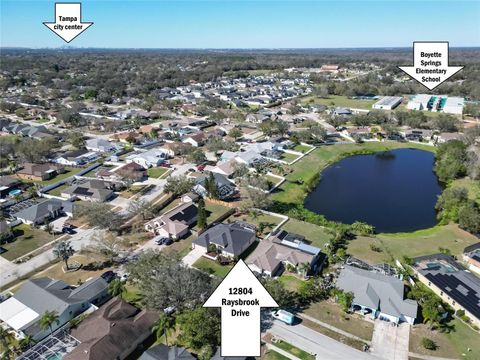 A home in RIVERVIEW