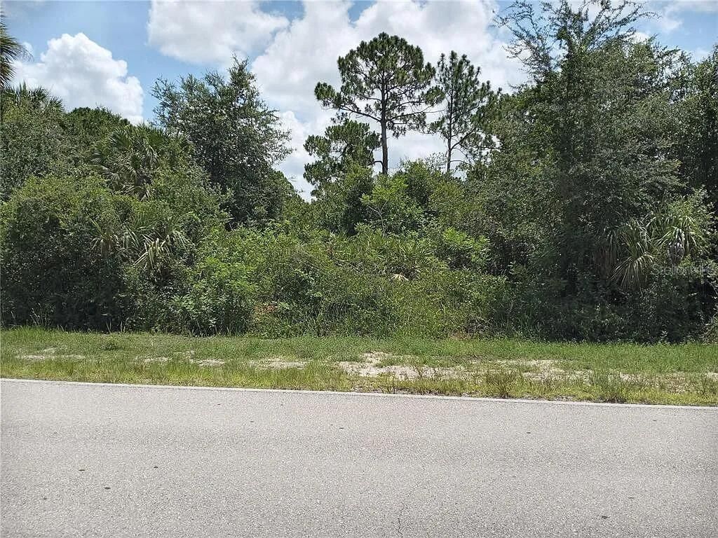 Photo of 13204 Green Gulf Boulevard, Punta Gorda, FL 33955 (MLS # O6378017)