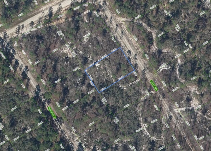 Discover this exceptional homesite located in the fastest-growing city in Florida. This parcel provides a strong foundation for future residential construction, offering versatility for builders, investors, and homebuyers alike. With continued suburban expansion and rising demand in the area, this property represents a prime opportunity to invest in long-term growth and development.