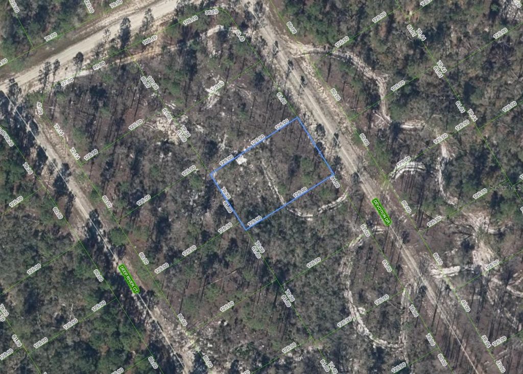 Photo of 522 Devotion Drive, Lake Placid, FL 33852 (MLS # TB8477546)