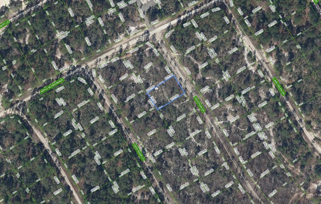 Photo of 522 Devotion Drive, Lake Placid, FL 33852 (MLS # TB8477546)