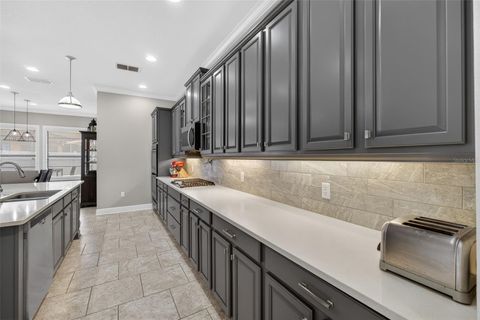 Tiny photo for 4217 Foxhound Drive, Clermont, FL 34711 (MLS # O6396995)