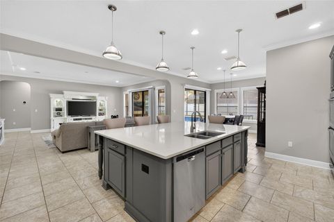 Tiny photo for 4217 Foxhound Drive, Clermont, FL 34711 (MLS # O6396995)