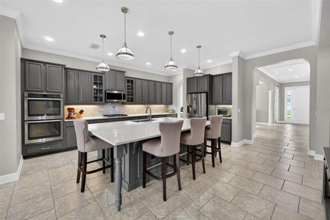 Tiny photo for 4217 Foxhound Drive, Clermont, FL 34711 (MLS # O6396995)