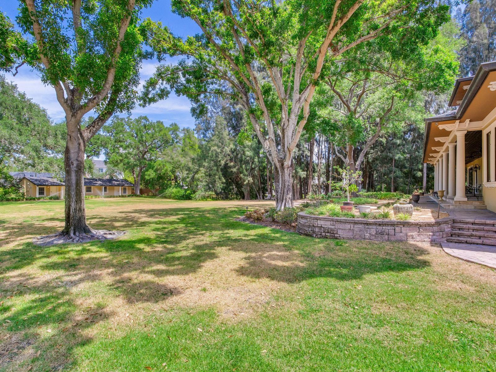 HENDERSON BEACH - Residential