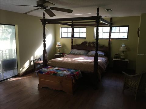 Tiny photo for 2436 Cr 416n, Lake Panasoffkee, FL 33538 (MLS # G5100415)