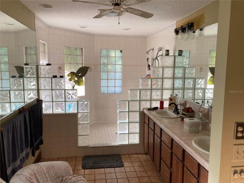 Tiny photo for 2436 Cr 416n, Lake Panasoffkee, FL 33538 (MLS # G5100415)