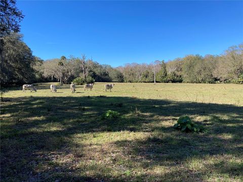 Tiny photo for 2436 Cr 416n, Lake Panasoffkee, FL 33538 (MLS # G5100415)