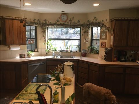 Tiny photo for 2436 Cr 416n, Lake Panasoffkee, FL 33538 (MLS # G5100415)