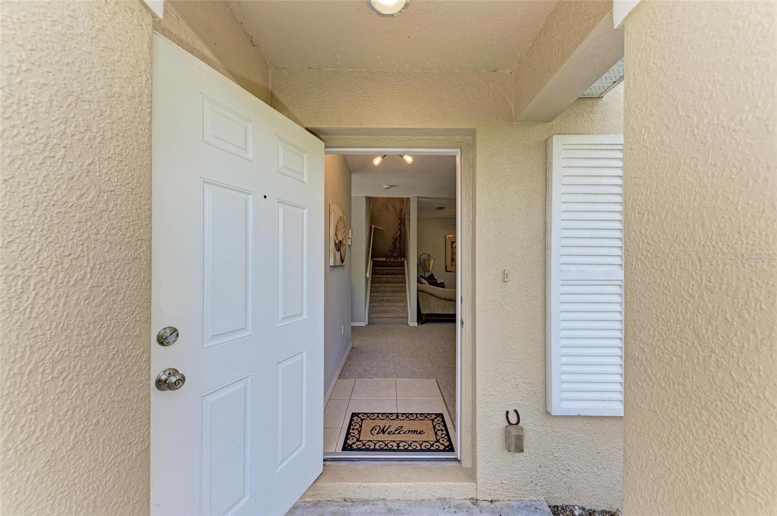 6205 TRIPLE TAIL COURT 101