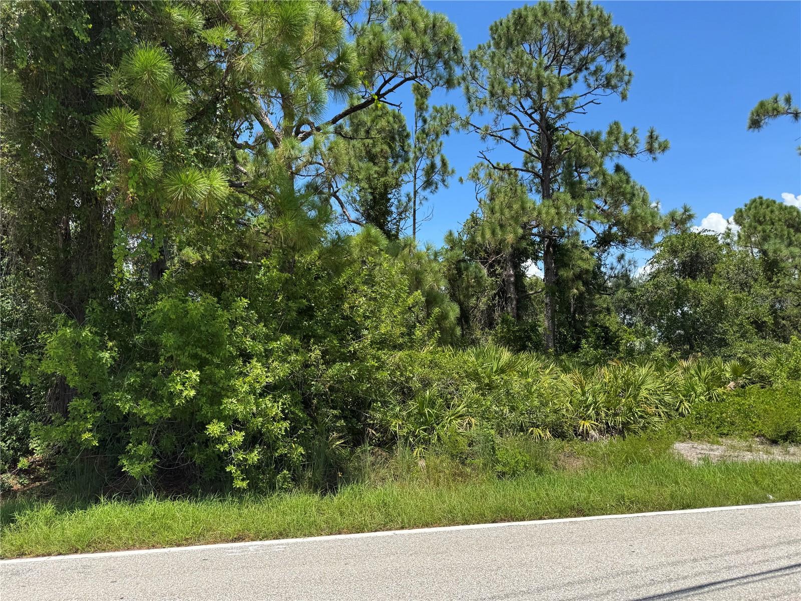 This spacious 10,000 square foot lot in Port Charlotte is the perfect opportunity to build your dream home or invest in one of Southwest Florida’s most desirable areas. Conveniently located off Kings Highway, just minutes from Punta Gorda, this property offers easy access to the Sunseeker Resort, Charlotte Beach Park, and a wide variety of shopping, dining, and entertainment options. With quick connections to I-75 and US-41, getting around is simple and stress-free. Whether you're planning to build a permanent residence or looking for a smart investment, this lot offers the ideal combination of location, lifestyle, and long-term potential. Don’t miss your chance to own a slice of paradise in beautiful Port Charlotte—contact us today to learn more.