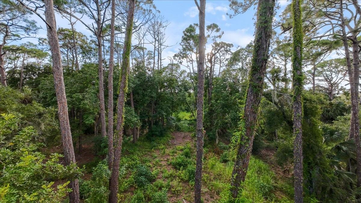 ACREAGE & UNREC - Land