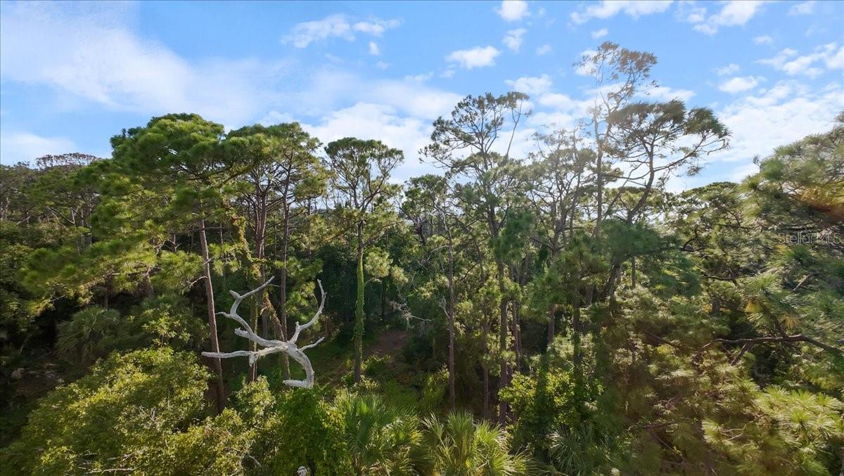 ACREAGE & UNREC - Land