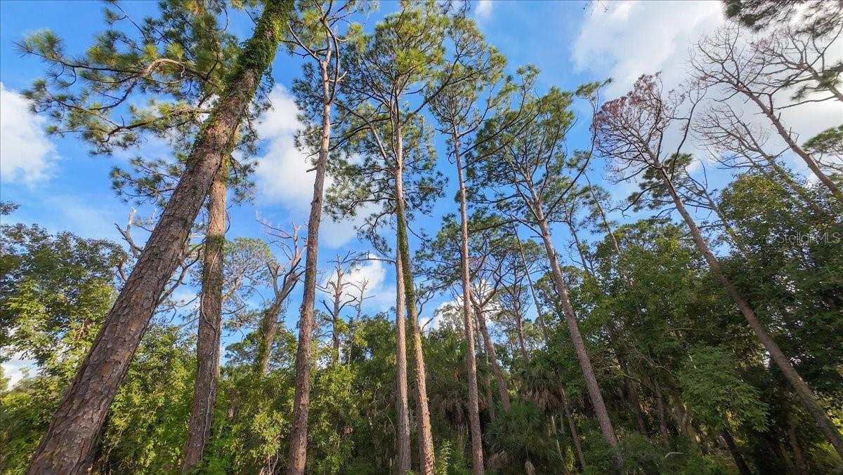 ACREAGE & UNREC - Land