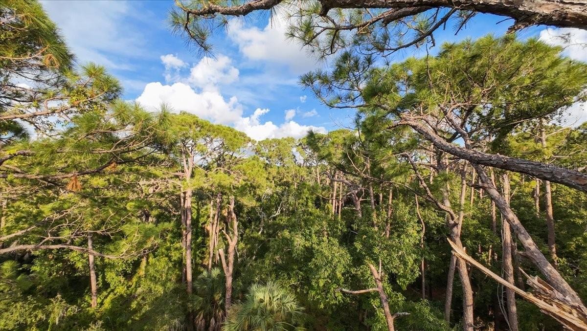 ACREAGE & UNREC - Land