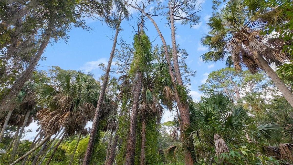 ACREAGE & UNREC - Land